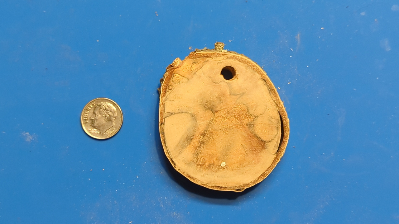 A birch puck on a silicone mat, shot from directly above with a dime next to it for scale