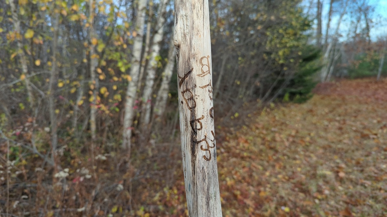 A sanded, lightly colored wooden staff, maybe an inch and a half across, being held upright in a field on a sunny day. A inscription has been burned into the wood and is partially visible.