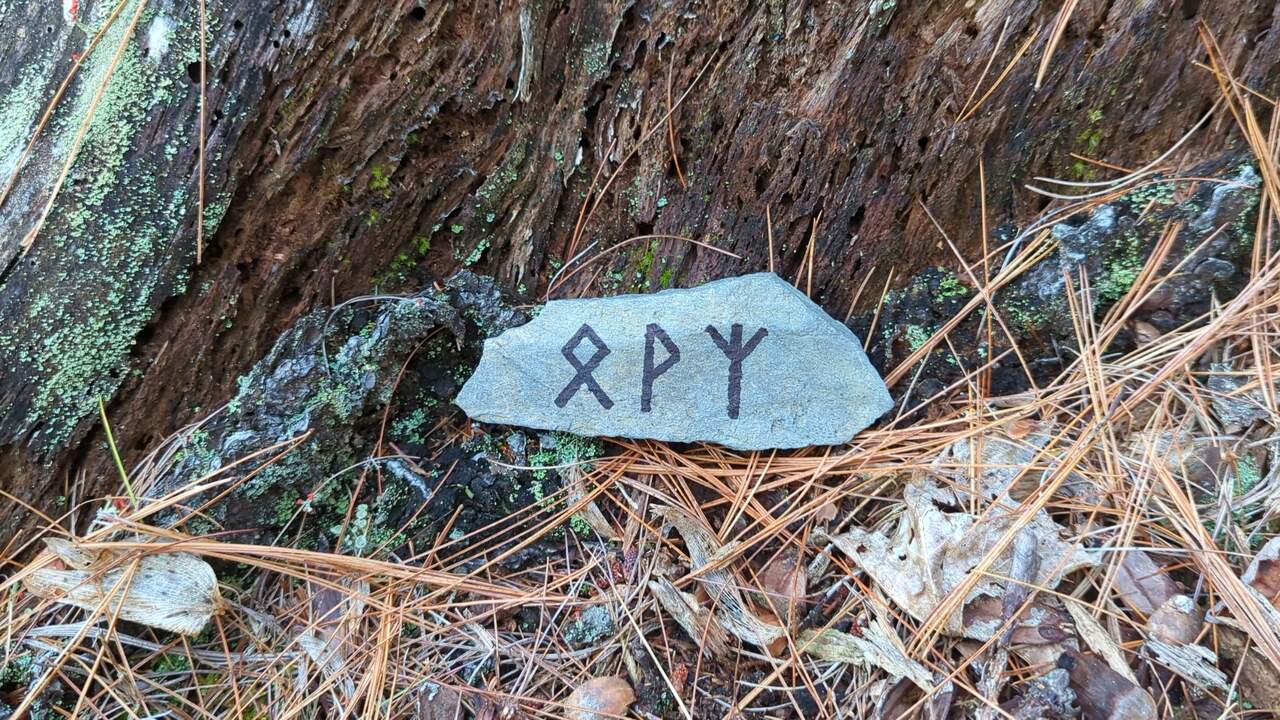 Three simple symbols in black ink on a flat-faced rock that is wider than it is tall. The symbols are arranged in a row, and the rock is resting on the side of a tree stump after some rain.