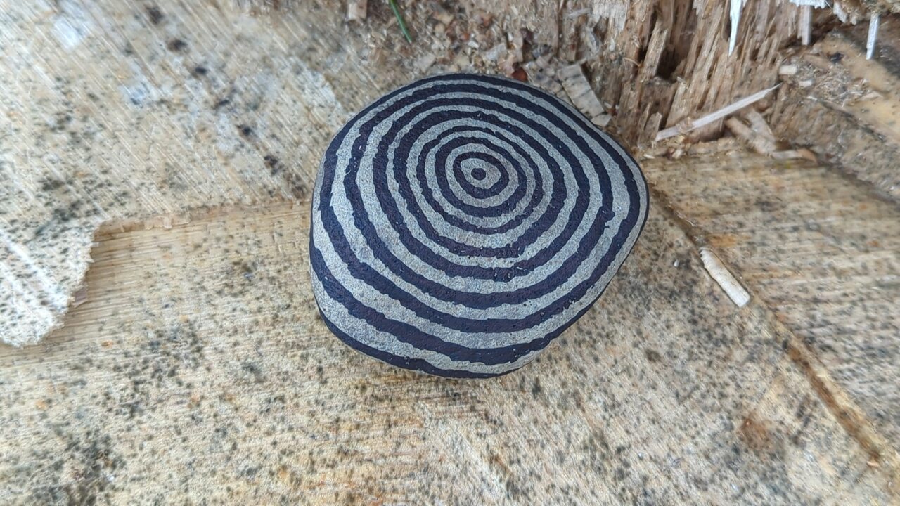 A round stone with concentric black rings emanating from a central dot. The rings extend beyond the edges of the stone and out of view. The stone rests on top of a recently cut tree stump.