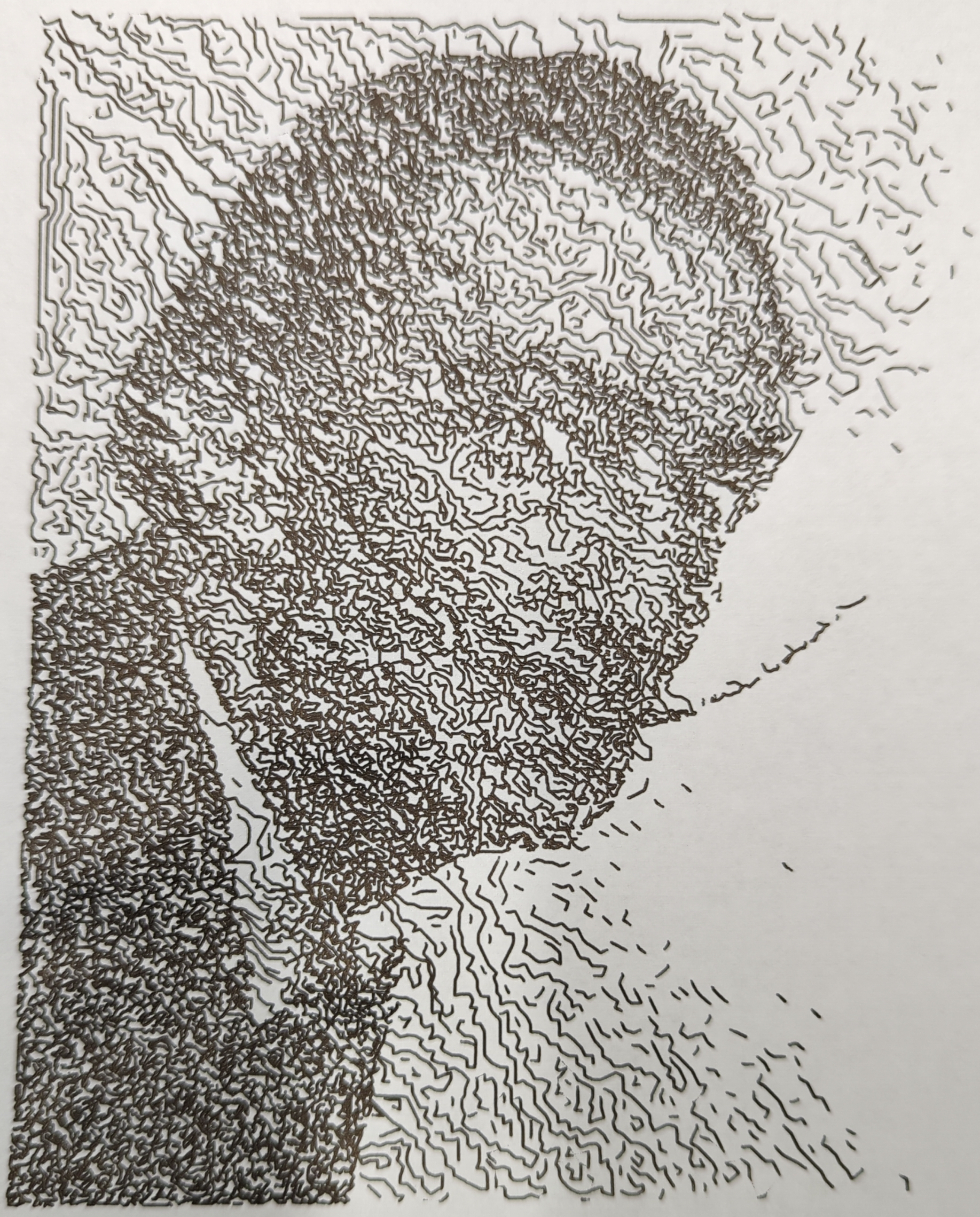 A popular photo of Salvador Dali as portrayed by a pen plotter