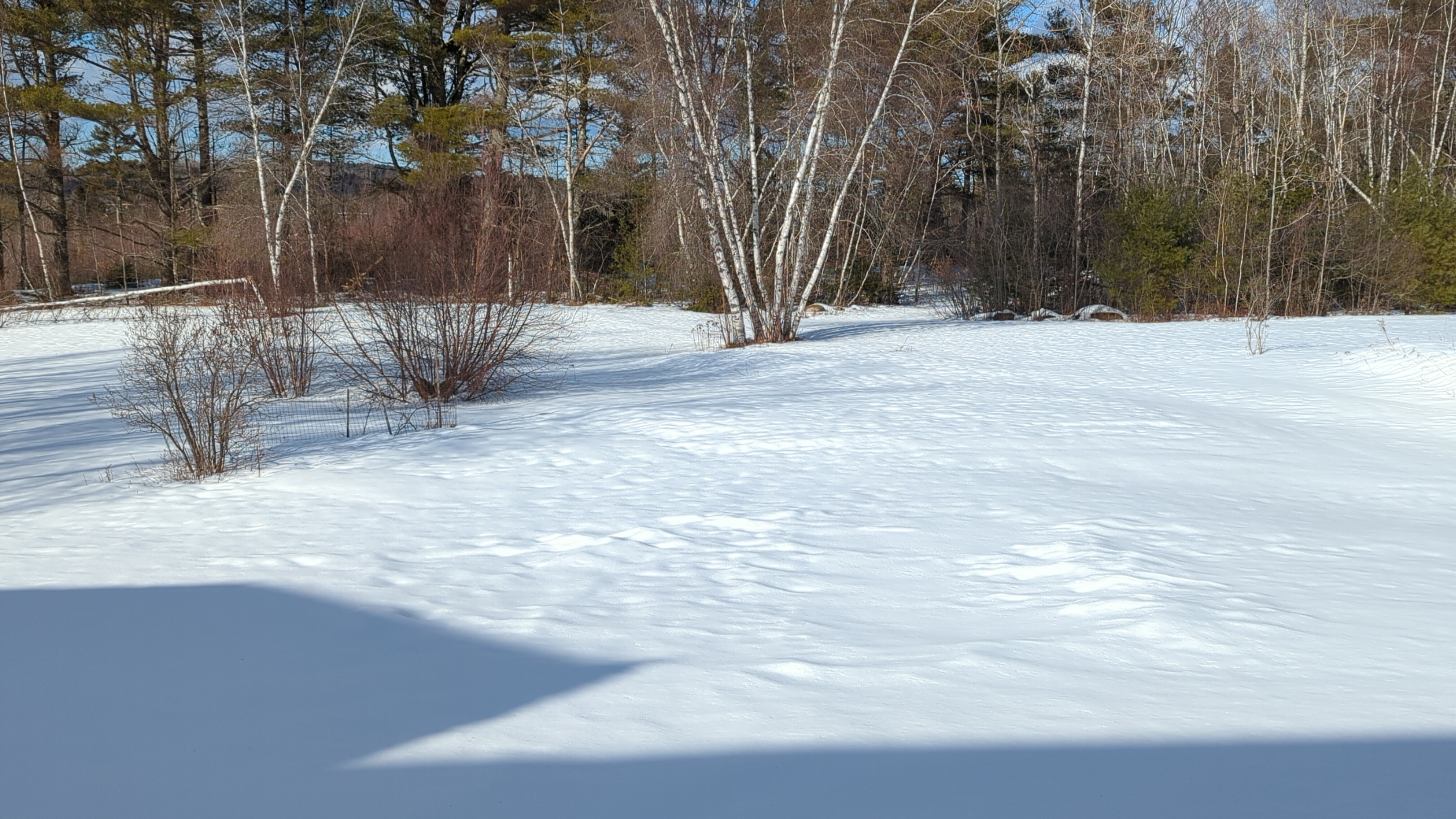 My garden, which is currently covered in about 18 inches of snow